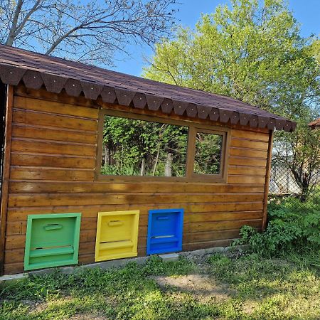 Къща За Гости Casa Blanca Villa Targovishte  Eksteriør billede